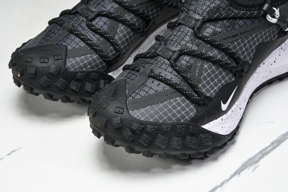 Nike ACG Mountain Fly Low GTX SE DD2861 010 