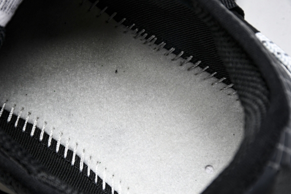 Nike ACG Mountain Fly Low GTX SE DD2861 010 