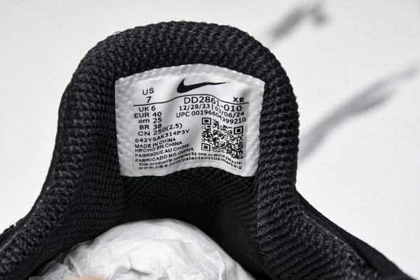 Nike ACG Mountain Fly Low GTX SE DD2861 010 