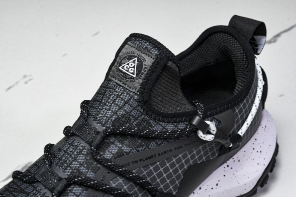 Nike ACG Mountain Fly Low GTX SE DD2861 010 