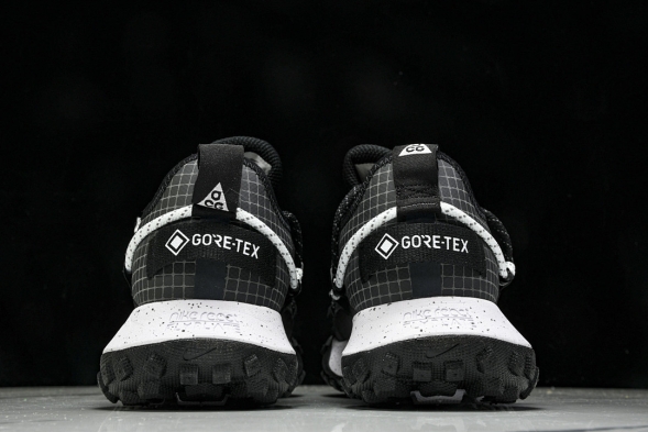 Nike ACG Mountain Fly Low GTX SE DD2861 010 