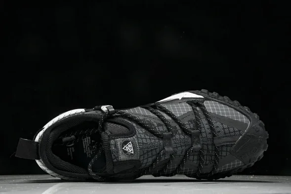 Nike ACG Mountain Fly Low GTX SE DD2861 010 