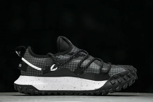 Nike ACG Mountain Fly Low GTX SE DD2861 010 