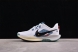 Nike Pegasus Trail 5 DV3864-100 