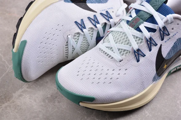 Nike Pegasus Trail 5 DV3864-100 