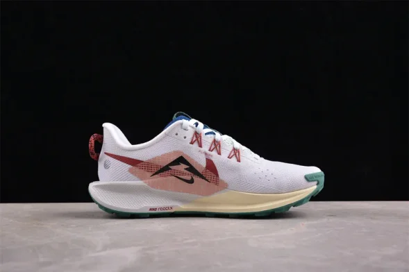 Nike Pegasus Trail 5 DV3864-100 