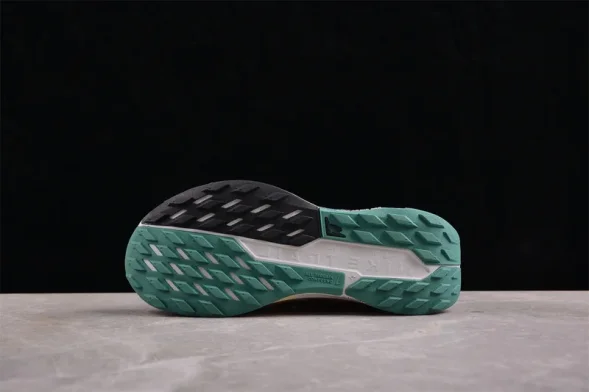Nike Pegasus Trail 5 DV3864-100 