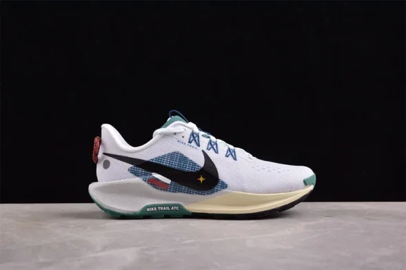 Nike Pegasus Trail 5 DV3864-100 