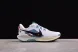 Nike Pegasus Trail 5 DV3864-100 