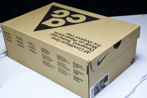 Nike ACG Mountain Fly Low GTX SE DQ1979 001 