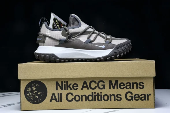 Nike ACG Mountain Fly Low GTX SE DQ1979 001 