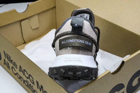 Nike ACG Mountain Fly Low GTX SE DQ1979 001 