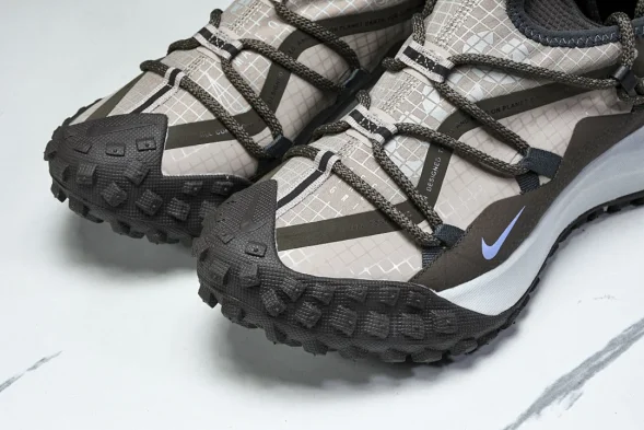 Nike ACG Mountain Fly Low GTX SE DQ1979 001 