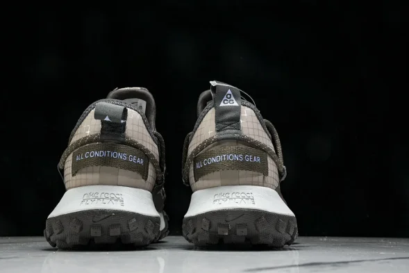 Nike ACG Mountain Fly Low GTX SE DQ1979 001 