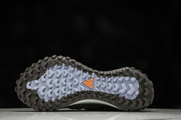 Nike ACG Mountain Fly Low GTX SE DQ1979 001 