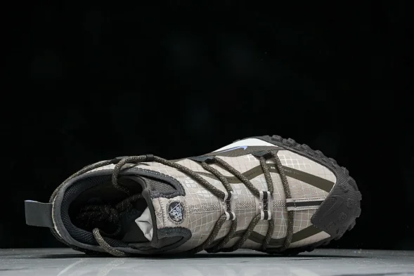 Nike ACG Mountain Fly Low GTX SE DQ1979 001 