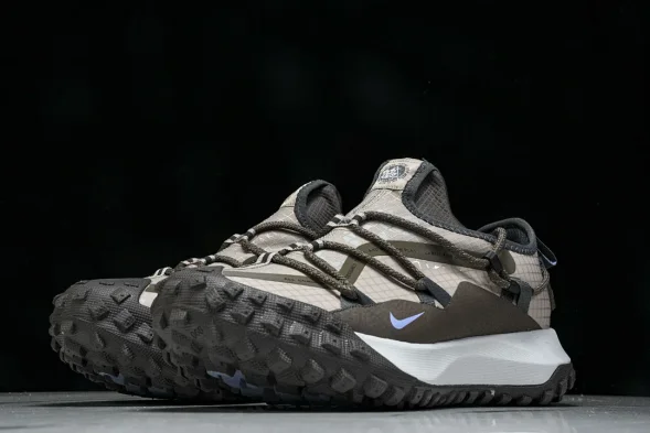 Nike ACG Mountain Fly Low GTX SE DQ1979 001 
