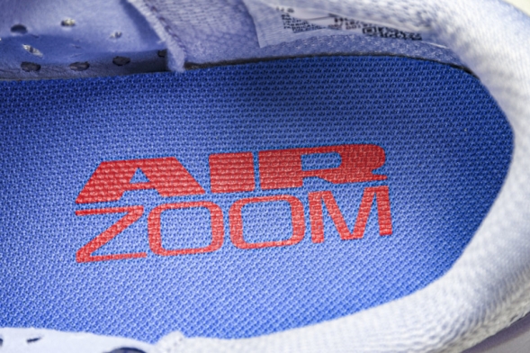 Nike Air Zoom Pegasus Premium HQ2592-004 