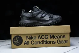 Nike ACG Mountain Fly Low GTX SE DD2861 002
