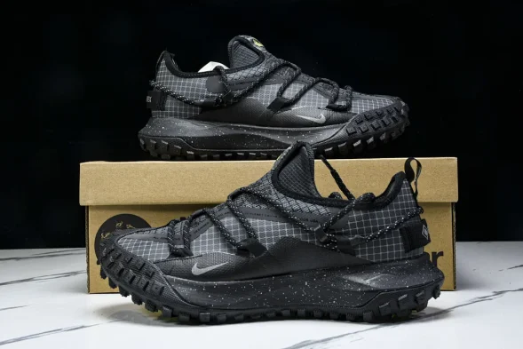 Nike ACG Mountain Fly Low GTX SE DD2861 002 