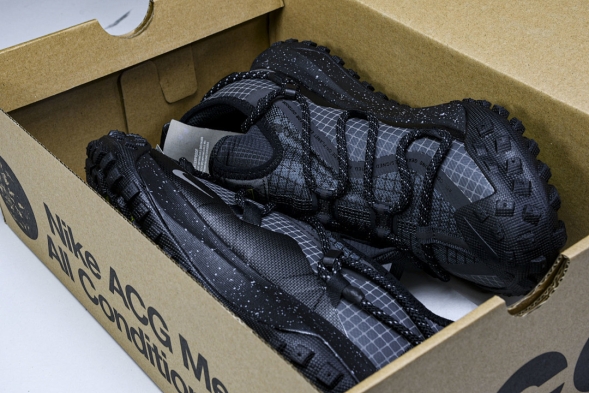 Nike ACG Mountain Fly Low GTX SE DD2861 002 