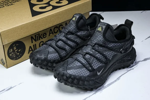 Nike ACG Mountain Fly Low GTX SE DD2861 002 