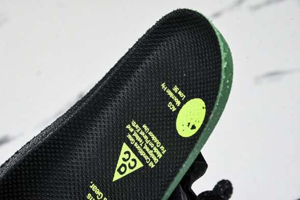 Nike ACG Mountain Fly Low GTX SE DD2861 002 