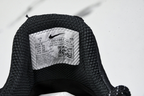 Nike ACG Mountain Fly Low GTX SE DD2861 002 