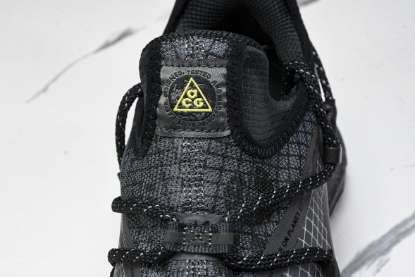 Nike ACG Mountain Fly Low GTX SE DD2861 002 