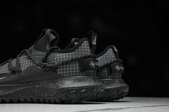 Nike ACG Mountain Fly Low GTX SE DD2861 002 