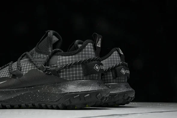 Nike ACG Mountain Fly Low GTX SE DD2861 002 