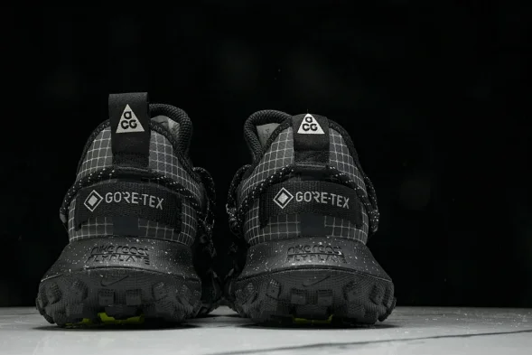 Nike ACG Mountain Fly Low GTX SE DD2861 002 
