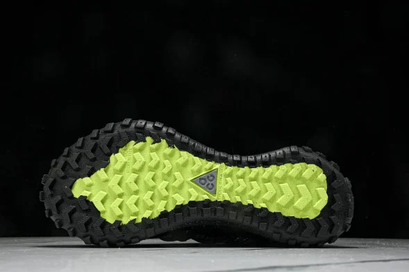 Nike ACG Mountain Fly Low GTX SE DD2861 002 