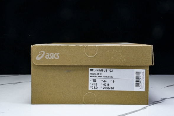 Asics Gel-Nimbus 10.1 1203A543-101 