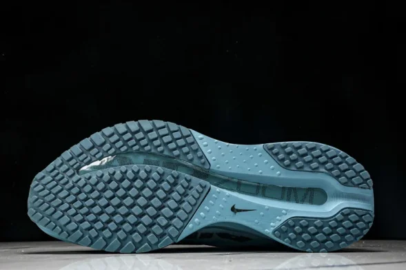Nike Air Zoom Pegasus Premium HQ2592-006 