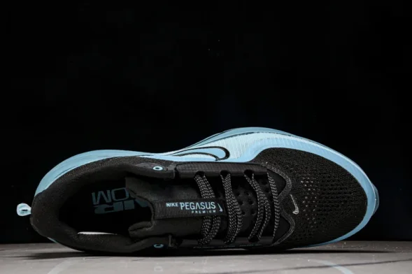 Nike Air Zoom Pegasus Premium HQ2592-006 