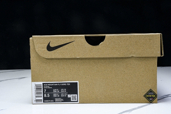 Nike ACG Mountain Fly Low GTX SE DX6675 001 