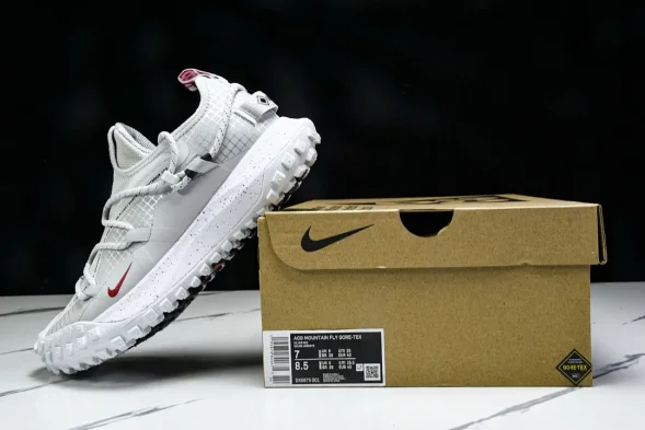 Nike ACG Mountain Fly Low GTX SE DX6675 001 