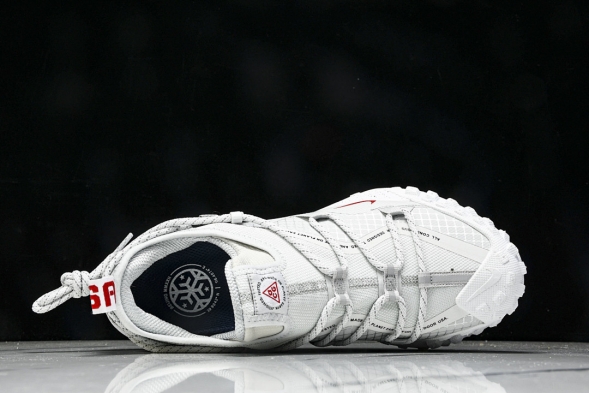 Nike ACG Mountain Fly Low GTX SE DX6675 001 