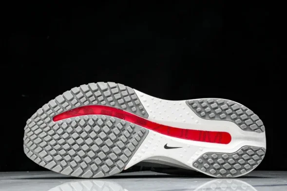 Nike Air Zoom Pegasus Premium HQ2592-007 