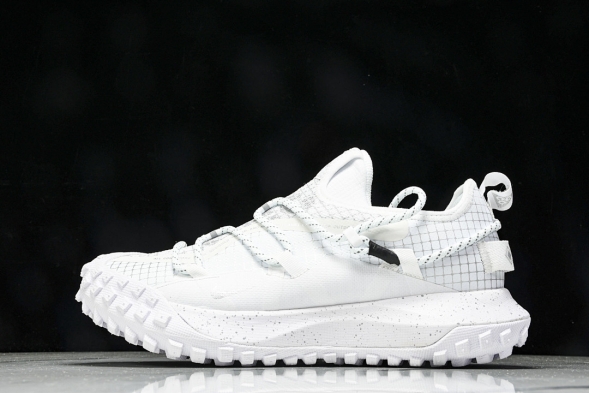 Nike ACG Mountain Fly Low GTX SE DD2861 011 