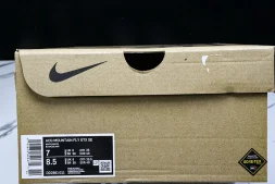 Nike ACG Mountain Fly Low GTX SE DD2861 011