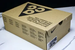 Nike ACG Mountain Fly Low GTX SE DD2861 011