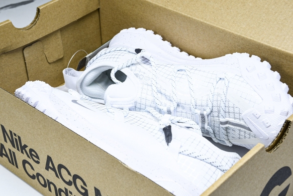 Nike ACG Mountain Fly Low GTX SE DD2861 011 