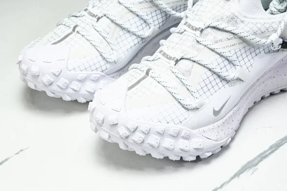 Nike ACG Mountain Fly Low GTX SE DD2861 011 