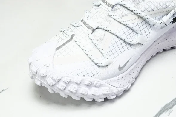 Nike ACG Mountain Fly Low GTX SE DD2861 011 