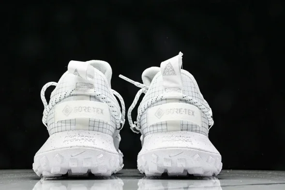 Nike ACG Mountain Fly Low GTX SE DD2861 011 