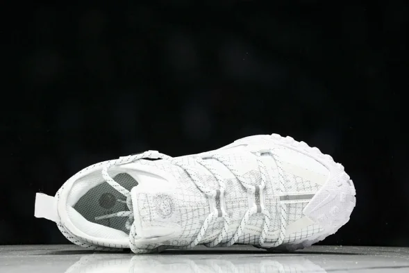 Nike ACG Mountain Fly Low GTX SE DD2861 011 