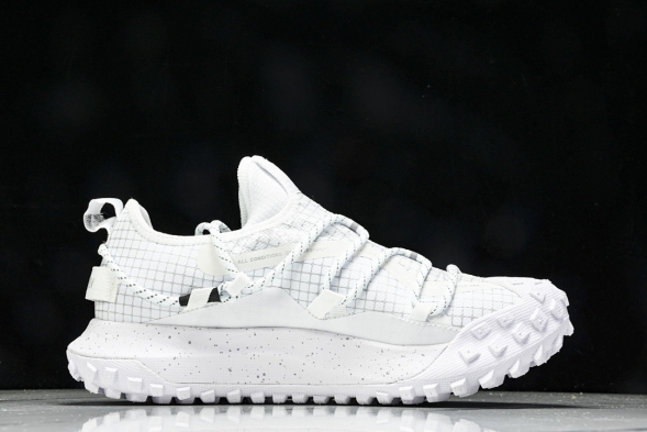 Nike ACG Mountain Fly Low GTX SE DD2861 011 