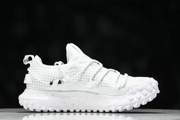 Nike ACG Mountain Fly Low GTX SE DD2861 011 